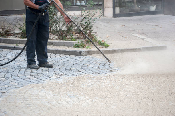  Selmont West Selmont, AL Pressure Washing Pros